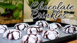 Very Easy and Delicious Chocolate Crinkles  Crinkles Recipe [upl. by Lyndsey]