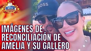 AMELIA SE RECONCILIÓ CON GALLERO IMÁGENES FELICES EN EL CAMPO Y EN AMOR [upl. by Ricardo]