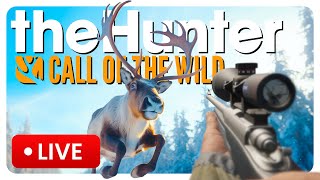 🔴 Call of the Wild stream CHRISTMAS REINDEER HUNT [upl. by Joshi]