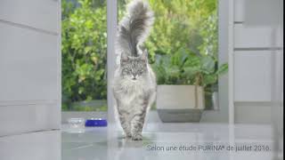 PURINA ONE®  Le Programme 21 Jours PURINA ONE® 10s [upl. by Adnwahs]