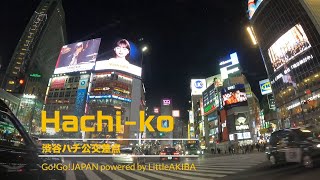 【Invehicle video】Night Drive Through Harajuku Shibuya and Shinjuku [upl. by Akemahc680]