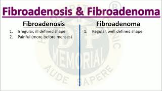 Difference between Fibroadenosis and Fibroadenoma [upl. by Rdnaskela678]