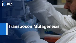 Generation Enterobacter sp YSU Auxotrophs Using Transposon Mutagenesis l Protocol Preview [upl. by Adriell]