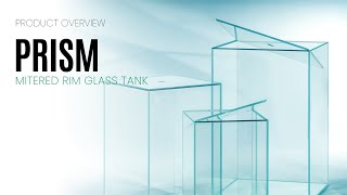 UNS Prism Tank with Lid for Aquariums Terrariums and Paludariums [upl. by Liss]