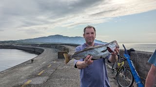 Frustrating again on the breakwater  Winnies Worms match Holyhead [upl. by Llorre]