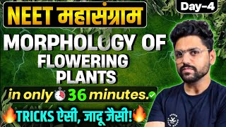 NEET महासंग्राम🔥 MORPHOLOGY OF FLOWERING PLANTS  Neet 2024 [upl. by Tiff]