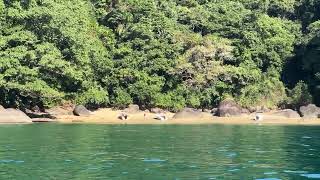 secluded beach in Paraty [upl. by Edward]