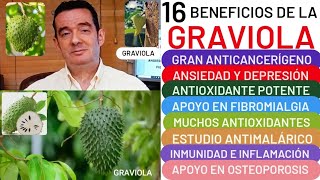 16 BENEFICIOS🌿🌳GRAVIOLA🌳🌿ANTICANCERÍGENO😮CORAZÓN❤️DEPRESIÓN👏HEMORROIDES👍FIBROMIALGIA🏋️ANTIMICROBIANO [upl. by Antoni]