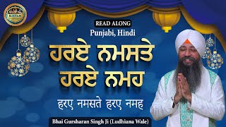 ਹਰਏ ਨਮਸਤੇ ਹਰਏ ਨਮਹ  Hare Namaste Hare Nameh  Bhai Gursharan Singh Ji Ludhiana Wale  Shabad Kirtan [upl. by Irt974]