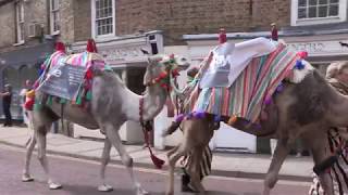 Highlights from Chatteris Midsummer Festival 2017 [upl. by Onirefes473]