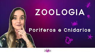 PORÍFEROS E CNIDÁRIOS  ZOOLOGIA l Prof Louise Medeiros [upl. by Wilfred209]