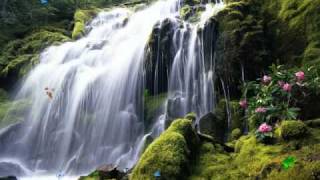 Exotic Waterfall Screensaver httpwwwscreensavergiftcom [upl. by Lebasy569]