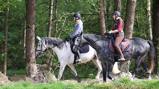 Reiten lernen Reitanfängerin Alex übt mit Wallach Freudentanz Haltung zu bewahren [upl. by Wampler57]