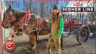 He uses the worlds strongest horses for logging  Higher Line Podcast 228 [upl. by Eissen]