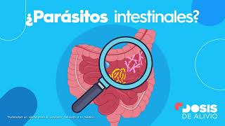 Destruye y expulsa todo tipo de parásitos intestinales [upl. by Najib]