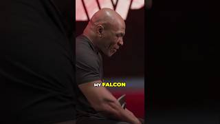 Mike Tysons Falcon vs Jake Pauls Pigeon boxing miketyson jakepaulvsmiketyson [upl. by Dani372]