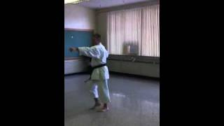 Fukyu Kata Dai Ichi Okinawan Gojuryu Karate [upl. by Rosabel673]