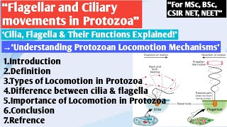 Flagellar and Ciliary movements in Protozoa  Locomotion in Protozoa  Movement in Protozoa [upl. by Nihahs]