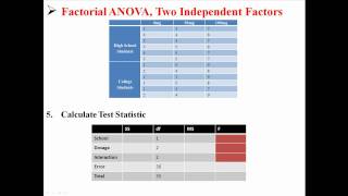 Factorial ANOVA Two Independent Factors [upl. by Cirderf]