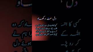 Dil mat dukhao 💔 urdu lines 😔 sadstatus islamicstatus sadlines viralshorts shortfeed [upl. by Hyacinthia]