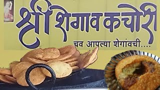 Maharashtras famous shegaon kachori Pune street food Mr amp Mrs Vegetarian [upl. by Alake]