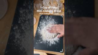 Making ciabatta bread from 1 cup of flour smallbatch [upl. by Nassi]