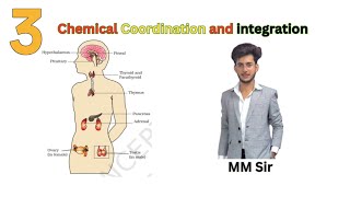 Chemical Coordination and Integration for Class 11th and NEET  Lecture 3 [upl. by Aketahs]