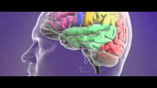 Classification of epileptic seizures [upl. by Aselehc821]