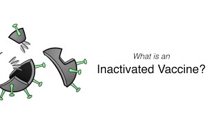 What is an Inactivated Vaccine [upl. by Kurtzman584]