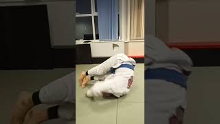 Bjj drill [upl. by Yared]