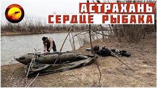 АСТРАХАНЬ СЕРДЦЕ РЫБАКА  ДИКАРЯМИ НА РЫБАЛКЕ [upl. by Wolpert21]