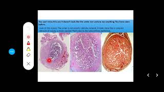 Histology Slides Series Episode 15  Histology of the Female Reproductive Organs and Mammary Gland [upl. by Lellih]