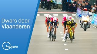 Dwars door Vlaanderen 2019  Mens Highlights  inCycle [upl. by Anaert448]