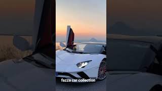 Dubai sheikh FAZZA car collection luxurylifestyl facts carcollection short [upl. by Concoff946]