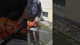 Stihl MS 500i Fällen extrem [upl. by Argyle]