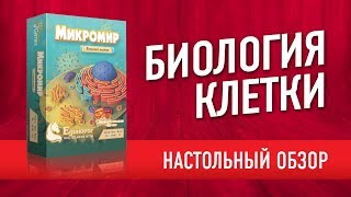 «МИКРОМИР БИОЛОГИЯ КЛЕТКИ» ИГРАЙ И УЧИСЬ Обзор настольной игры  quotCytosisquot board game review [upl. by Kosiur]