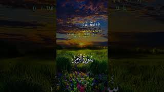 beautifulrecite alkareem beautifulrecitaion alquran [upl. by Osgood808]