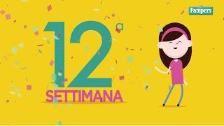 12° settimana di gravidanza [upl. by Amaj797]