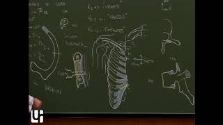 Thorax 1  Anatomie de la cage thoracique Ribthoracic cage [upl. by Rask]