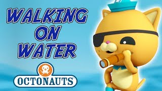 Octonauts  Walking on Water  Troubled Creatures [upl. by Anilegnave921]