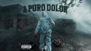 Gabito Ballesteros  A Puro Dolor Official Video [upl. by Yrad]