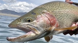 SLAY DAY  Fly Fishing Spinney Mountain Reservoir for BIG TROUT amp PIKE in South Park Colorado [upl. by Hares]