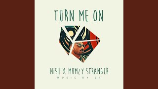 Turn Me on feat Mumzy Stranger [upl. by Waiter]