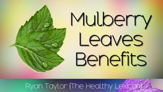 Mulberry Leaves Benefits Tea [upl. by Agathe547]