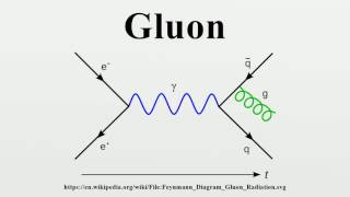 Gluon [upl. by Arakat]