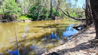 Murray Cod Fishing Exploring A New Fishing Spot [upl. by Melitta127]