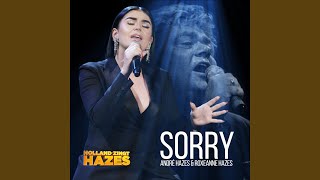 Sorry Holland Zingt Hazes [upl. by Sinaj]