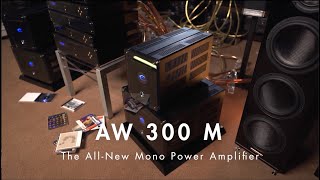 Electrocompaniet AW 300 M The AllNew Mono Power Amplifier [upl. by Nysilla]