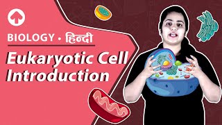 Introduction to Prokaryotic Cells  Hindi  Biology [upl. by Ydnab846]