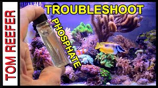 Reef Tank  TROUBLESHOOTING YOUR PHOSPHATE  To Low To High TIPS [upl. by Ycrem]